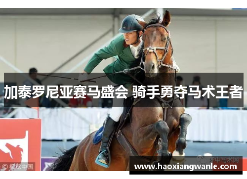 加泰罗尼亚赛马盛会 骑手勇夺马术王者